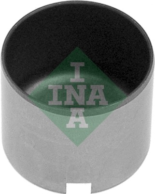Schaeffler INA Hüdrotõukur 421 0041 10