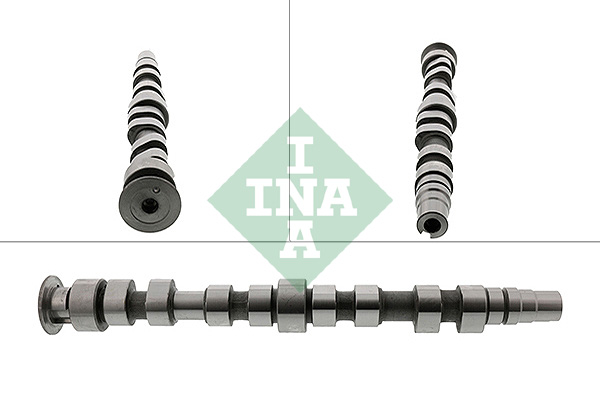 Schaeffler INA Wałek rozrządu 428 0169 10