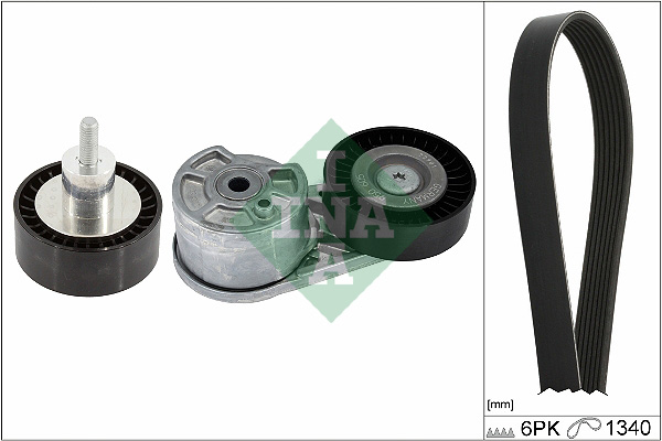 Schaeffler INA Flerspårsremssats 529 0551 10