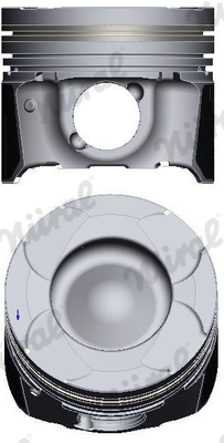 NÜRAL stūmoklis 87-430300-00