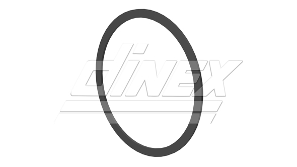 DINEX Tiiviste, pakoputki 4IL002