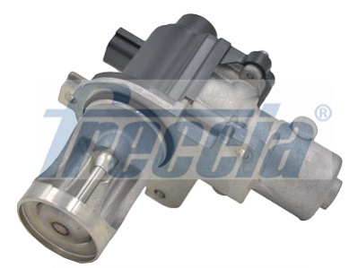 FRECCIA Zawór AGR EGR12-116