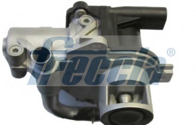FRECCIA Zawór AGR EGR12-155
