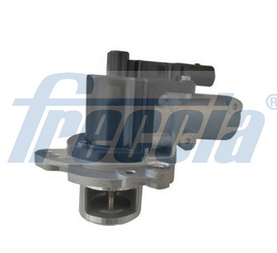 FRECCIA Zawór AGR EGR12-202