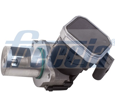 FRECCIA Zawór AGR EGR12-209