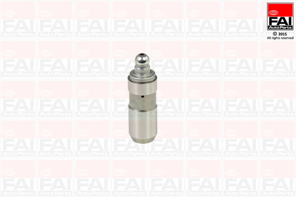 FAI AutoParts Hüdrotõukur BFS176S