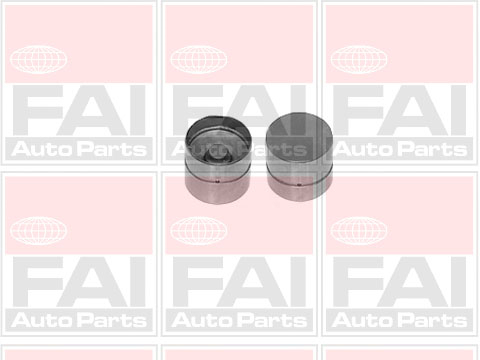 FAI AutoParts Hüdrotõukur BFS293S