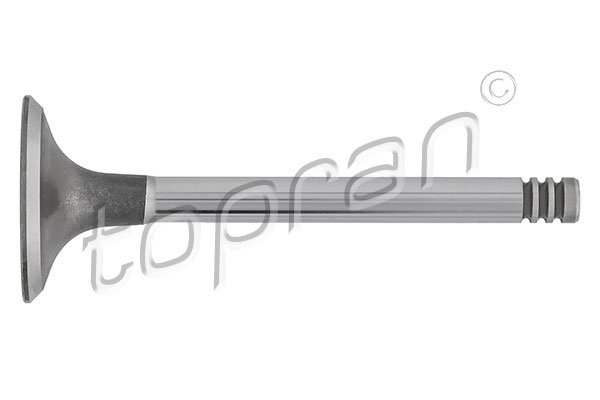 TOPRAN Zawór dolotowy 101 516