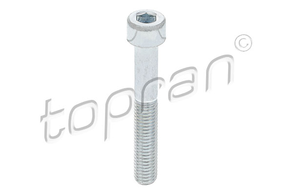 TOPRAN Ruuvi, jarrusatula 110 707