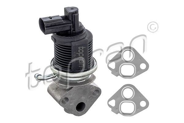 TOPRAN EGR-klapp 113 753