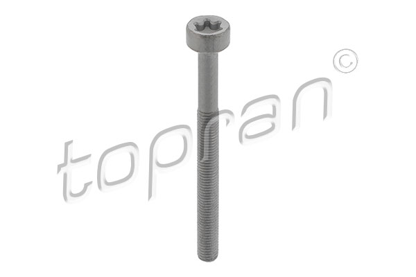 TOPRAN Śruba, wtryskiwacz 410 287