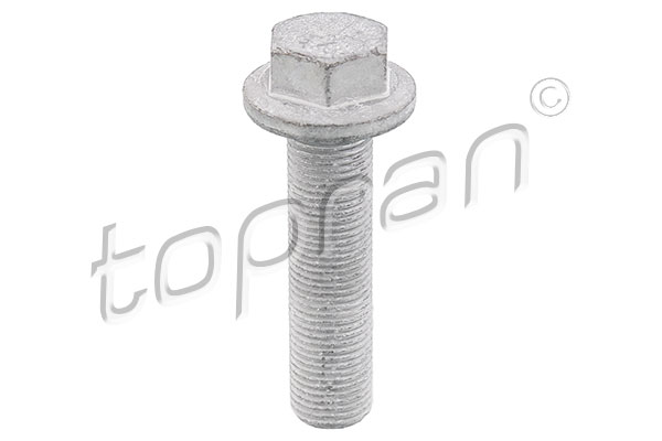 TOPRAN Remskiveskruv 701 617
