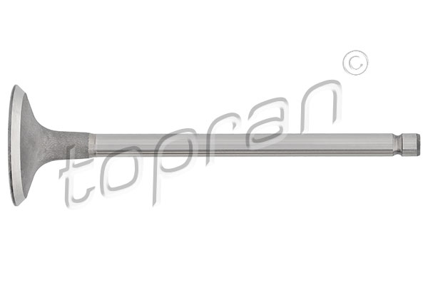 TOPRAN Sisselaskeklapp 721 561