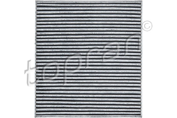 TOPRAN Filter,salongiõhk 821 091