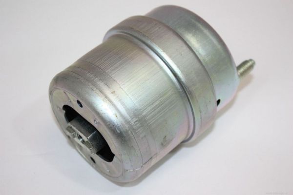 AUTOMEGA variklio montavimas 130027610