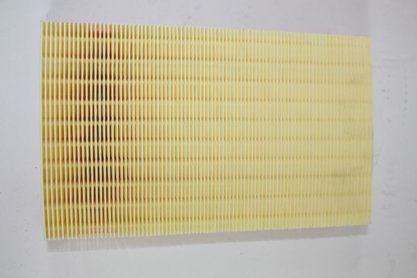 AUTOMEGA Luftfilter 180035610