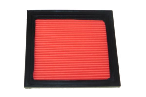 AUTOMEGA Õhufilter 180066810