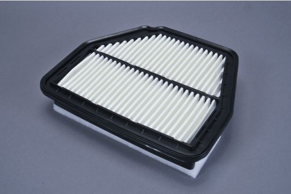 AUTOMEGA Õhufilter 210075910