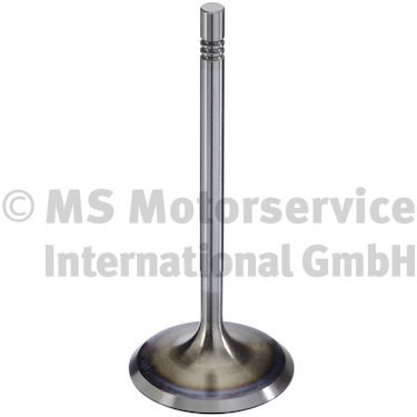 TRW Engine Component Sisselaskeklapp 300104