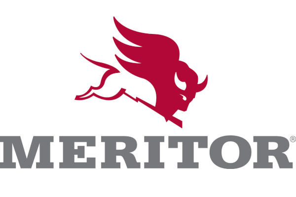 MERITOR Zestaw naprawczy, automatyczne nastawianie SP7984