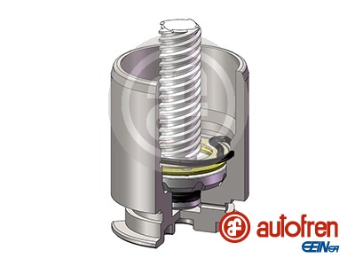 AUTOFREN SEINSA Kolb, pidurisadul D025422RK