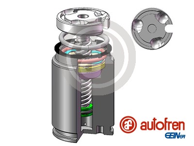 AUTOFREN SEINSA Kolb, pidurisadul D02545RK