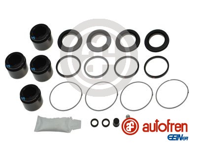 AUTOFREN SEINSA Remondikomplekt, pidurisadul D43017C