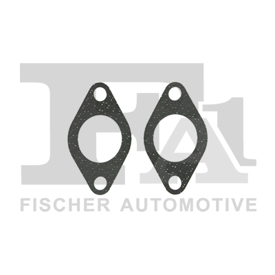 FA1 tarpiklių rinkinys, AGR sistema KG110050E