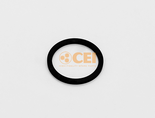 C.E.I Rõngas 169.776