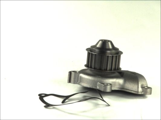 THERMOTEC Pompa wody, chłodzenie silnika D11028TT