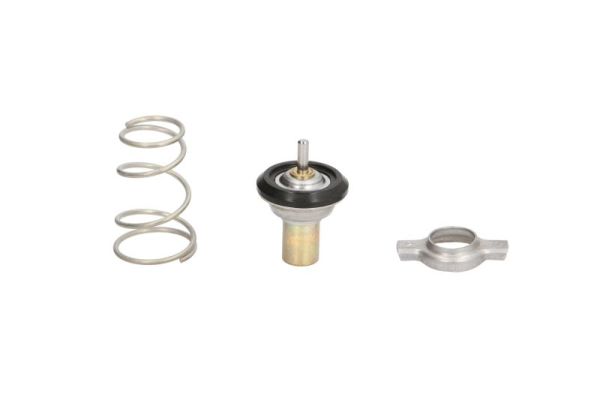 THERMOTEC Termostaat, jahutusvedelik D2F002TT