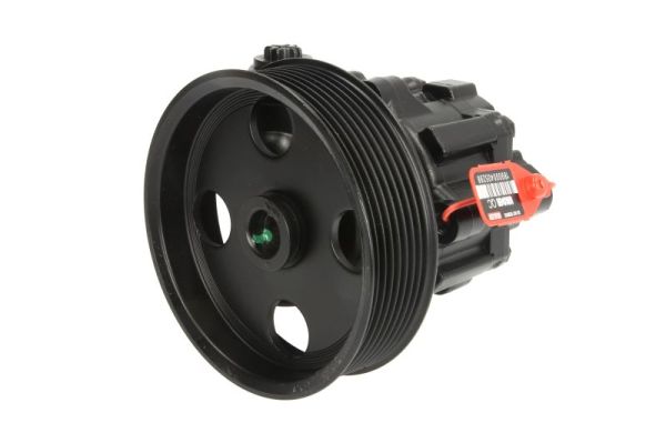 LAUBER Roolivõimendi pump 55.2906