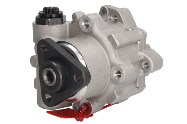 LAUBER Roolivõimendi pump 55.3332