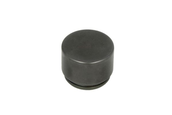 LAUBER Kolb, pidurisadul CQ71362922