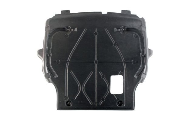 BLIC variklio dangtis 6601-02-9568860P