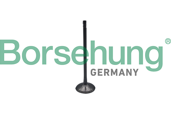 Borsehung Sisselaskeklapp B10323