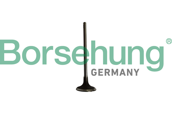 Borsehung Sisselaskeklapp B10334