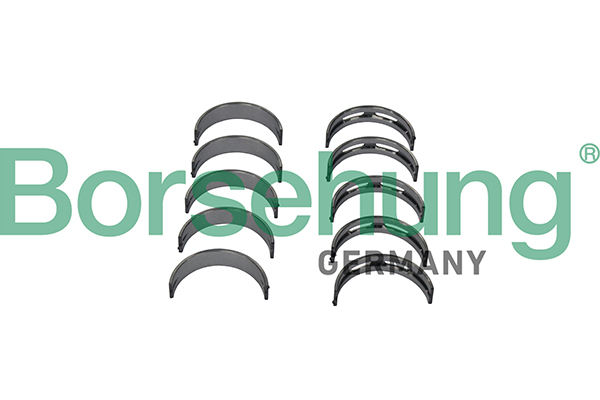 Borsehung Vevlager B11329