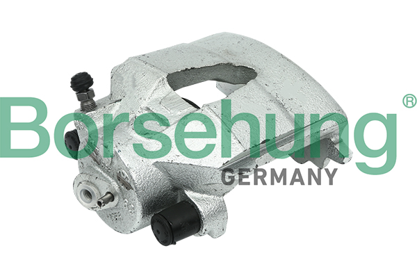 Borsehung Jarrusatula B11368
