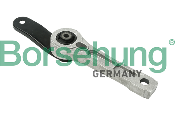 Borsehung variklio montavimas B12266
