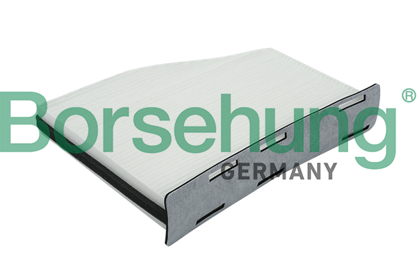 Borsehung filtras, salono oras B12798