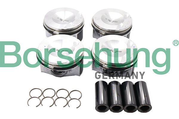 Borsehung Mäntäsarja B13574