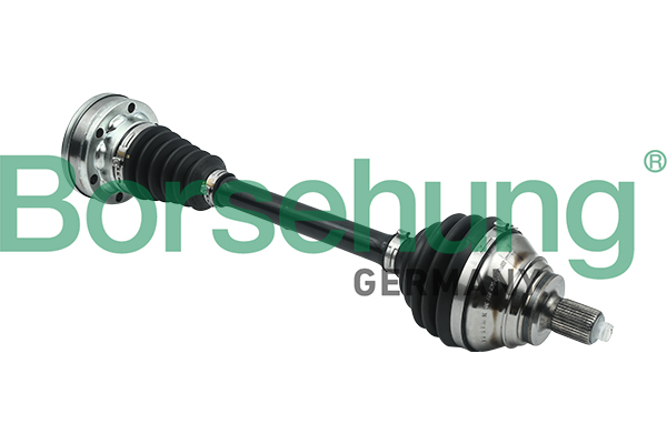 Borsehung pusašis B18304
