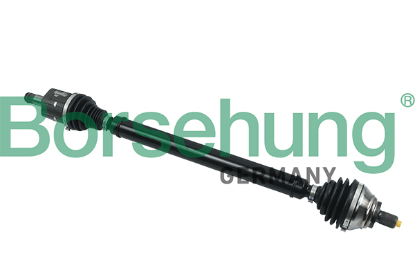 Borsehung pusašis B18328