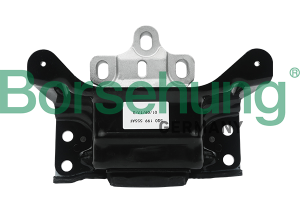 Borsehung variklio montavimas B18515