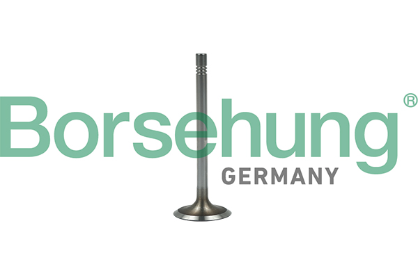 Borsehung Sisselaskeklapp B19022