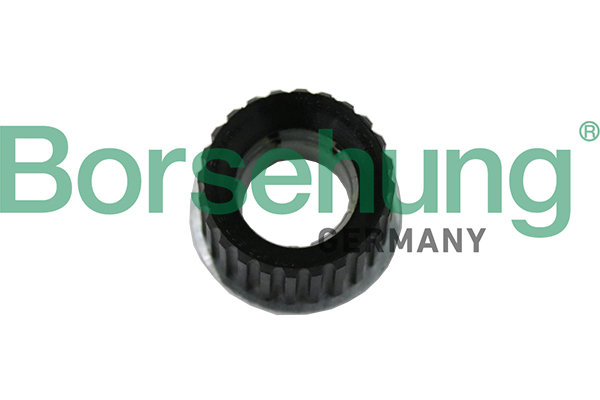 Borsehung guolis B19122