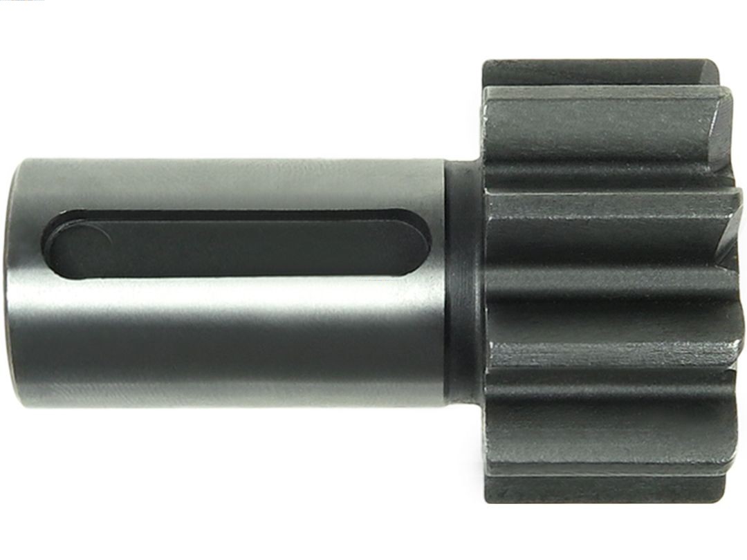 AS-PL Pendiks SD0157