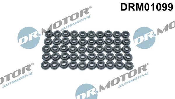 Dr.Motor Automotive Uszczelka, śruby pokrywy głowicy cylindrów DRM01099