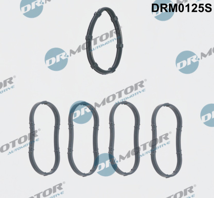 Dr.Motor Automotive tarpiklių rinkinys, įsiurbimo kolektorius DRM0125S